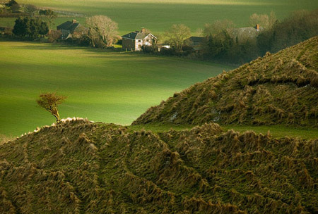 Ngoại ô South Downs gần Kingston, East Sussex (Anh) - Slawek Staszczuk - Giải nhất thể loại Thiên nhiên nước Anh