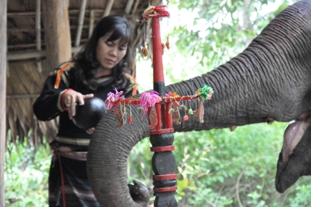 Chủ voi cũng thể hiện sự quan tâm, chăm sóc của mình đối với những chú voi