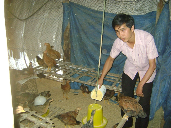 Anh Nguyễn Trường Thọ chăm sóc đàn gà.  