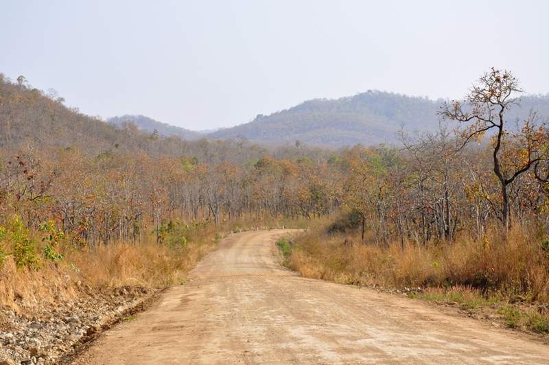 Ở Việt Nam, rừng khộp phân bố chủ yếu ở Tây Nguyên, đặc biệt là vùng biên giới giữa Việt Nam và Campuchia. Vườn quốc gia Yok Đôn chính là khu bảo tồn thiên nhiên của loại rừng này