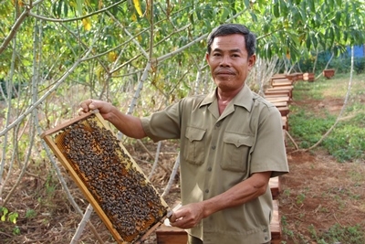 -	CCB Đinh Quang Cường giới thiệu mô hình nuôi ong lấy mật truyền thống của gia đình