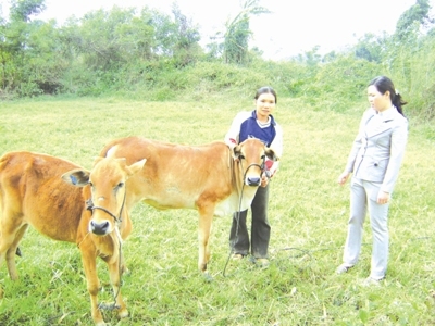 Chủ tịch UBND xã Ea Yiêng Nguyễn Thị Châm (bên phải) kiểm tra việc chăn nuôi bò từ chương trình hỗ trợ giảm nghèo tại gia đình chị Đinh Thị Tâm.
