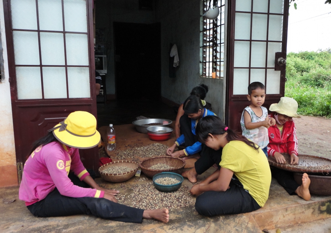 Hội viên Chi hội phụ nữ xã Ea Kiết (huyện Cư M'gar)  phân loại sản phẩm nông nghiệp.