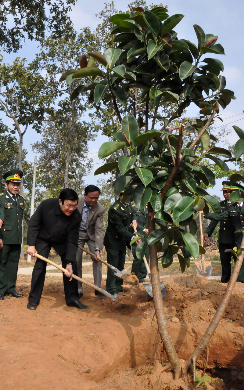 Chủ tịch nước trồng cây lưu niệm tặng Đồn Biên phòng 743