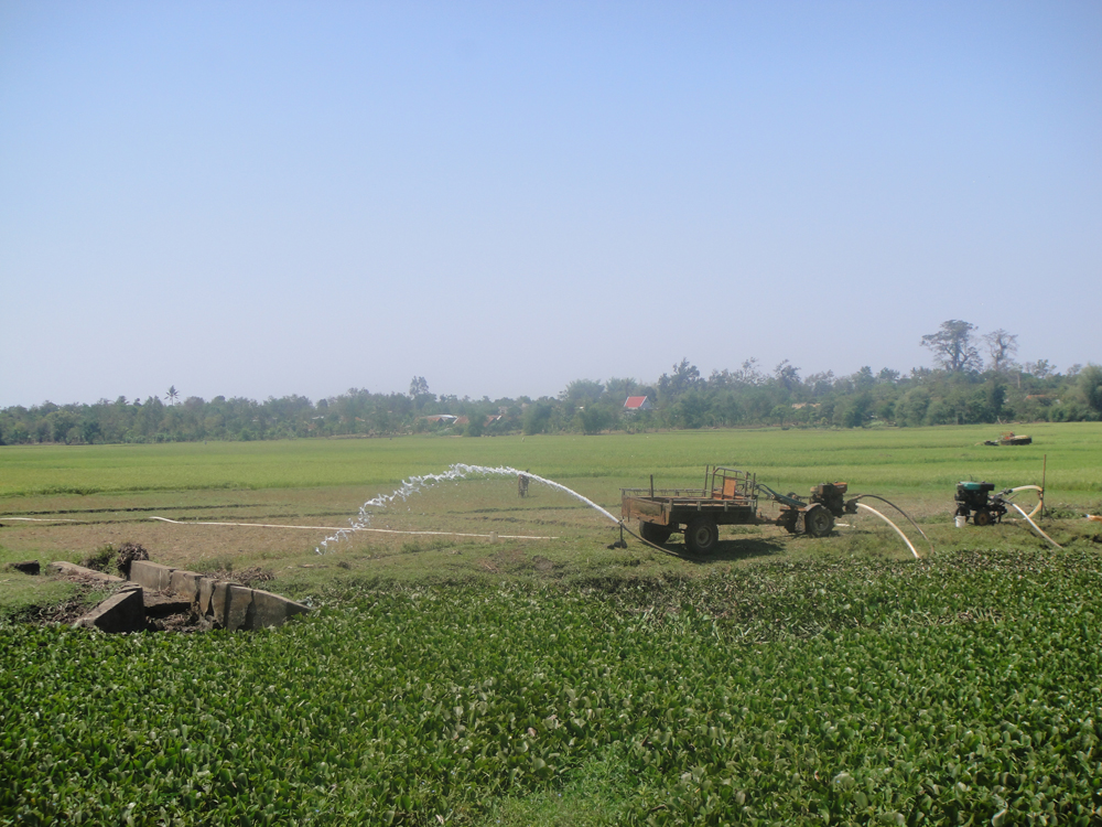 Nông dân nhiều địa phương đang tích cực bơm nước vào đồng ruộng.