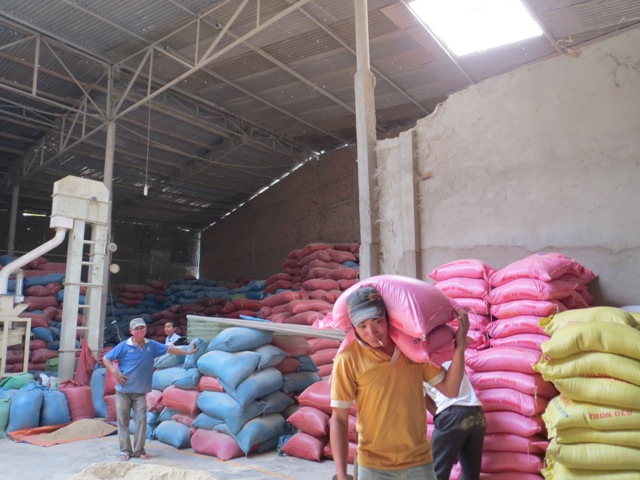 Chất lượng chưa cao, bào bì đơn giản là điểm yếu của sản phẩm, hàng hoá các doanh nghiệp vừa và nhỏ trên địa bàn tỉnh. Trong ảnh: sản xuất tại một nhà máy chế biến lúa gạo ở xã Bình Hoà, huyện Krông Ana