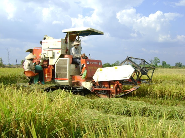 Nông dân huyện Krông Ana đầu tư cơ giới hóa trong sản xuất nông nghiệp đem lại hiệu quả kinh tế cao. 