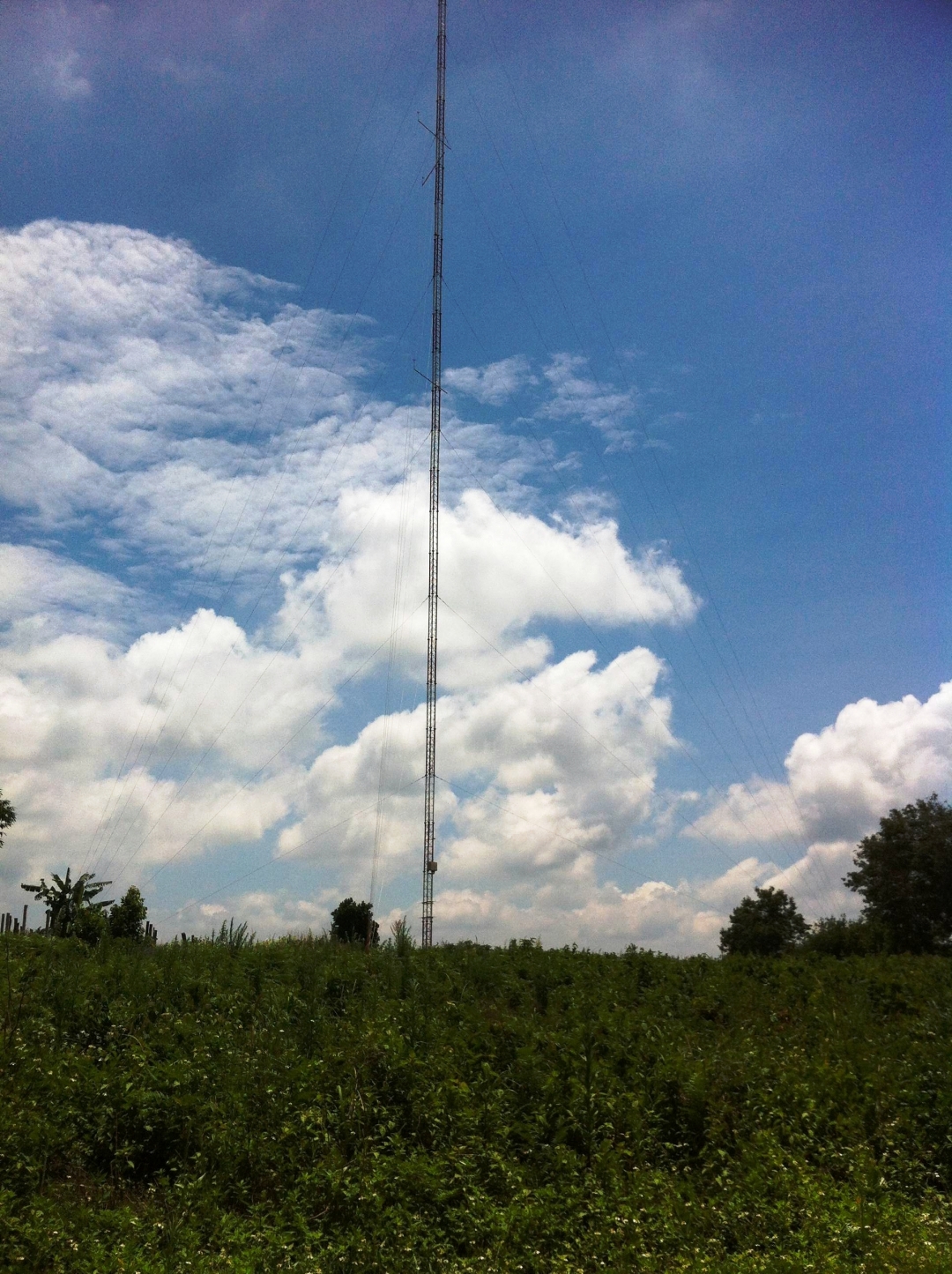 Cột đo gió tại xã Đliê Yang – huyện Ea H’leo của Công ty TNHH Giải pháp năng lượng gió