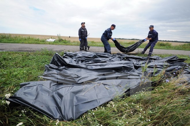 Lực lượng cứu hộ chuyển thi thể các nạn nhân máy bay MH17 sau sự cố tại Grabove, miền đông Ukraine ngày 18-7-2014. (Nguồn: AFP/TTXVN)