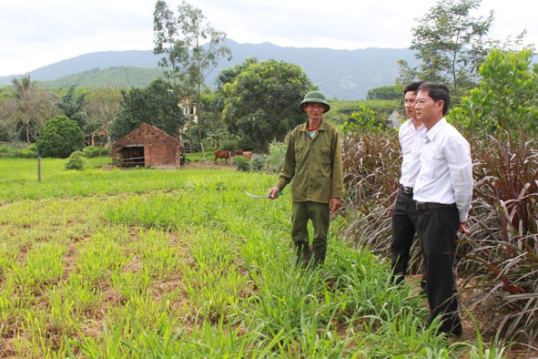 Cán bộ nông nghiệp huyện M’Đrắk kiểm tra mô hình chăn nuôi bò bán công nghiệp của gia đình ông Trịnh Văn Bàn, thôn 1, xã Cư Króa.