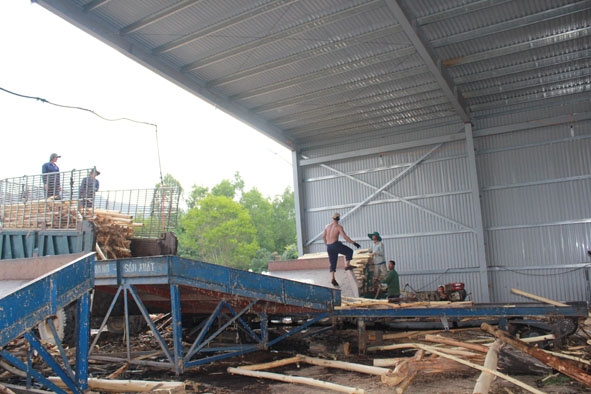 Chế biến gỗ dăm tại HTX Tiến Nam, huyện M’Đrắk.