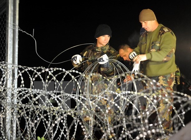 Binh sỹ Hungary bịt kín khoảng trống ở hàng rào dây thép ngăn dòng người di cư tại khu vực biên giới với Croatia ngày 17-10. (Nguồn: Reuters/TTXVN)