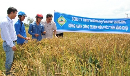 Đoàn viên thanh niên tham quan mô hình trồng lúa cạn tại Làng thanh niên lập nghiệp xã Ya Lốp, huyện Ea Súp