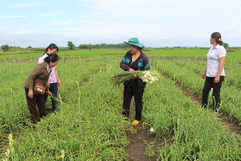 Hội viên nông dân xã Ea M'nang (huyện Cư M'gar) tham quan mô hình sản xuất của hội viên trên địa bàn