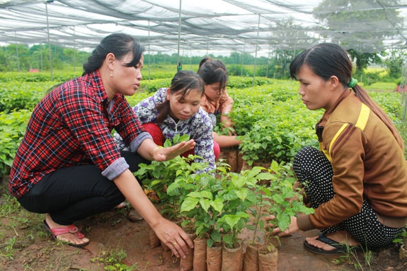 Chị Lê Thị Nhuệ (bìa trái) truyền đạt kinh nghiệm ươm, chăm sóc cây giống  cho lao động địa phương.