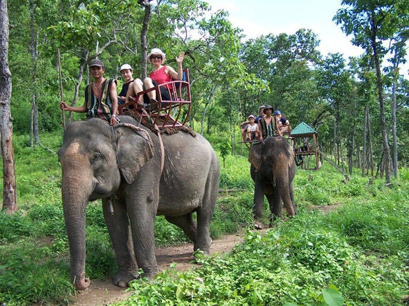 Cưỡi voi thăm thú cảnh sắc thiên nhiên là sản phẩm du lịch đặc thù của Đắk Lắk.