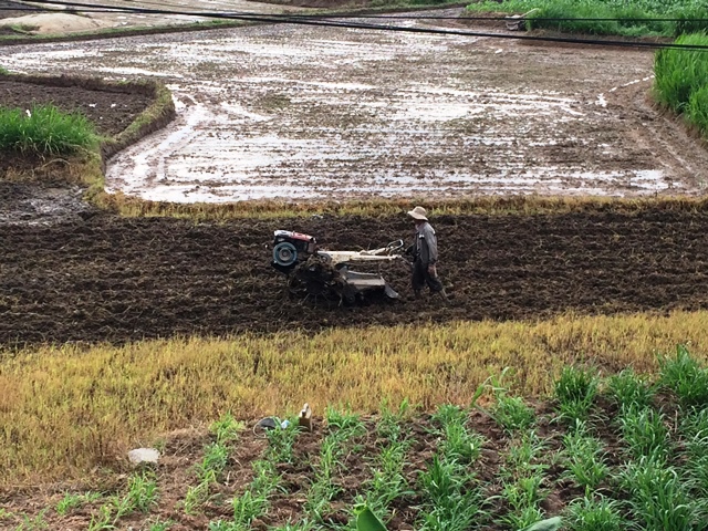 Nông dân xã Cư Ewi cày xới đất gieo trồng vụ thu đông.