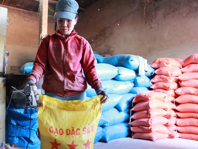 Xây dựng thương hiệu lúa gạo Ea Súp đang được địa phương hết sức quan tâm.