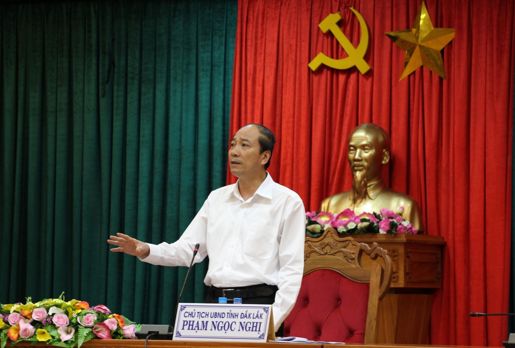Chủ tịch UBND tỉnh Phạm Ngọc Nghị phát biểu tại hội nghị