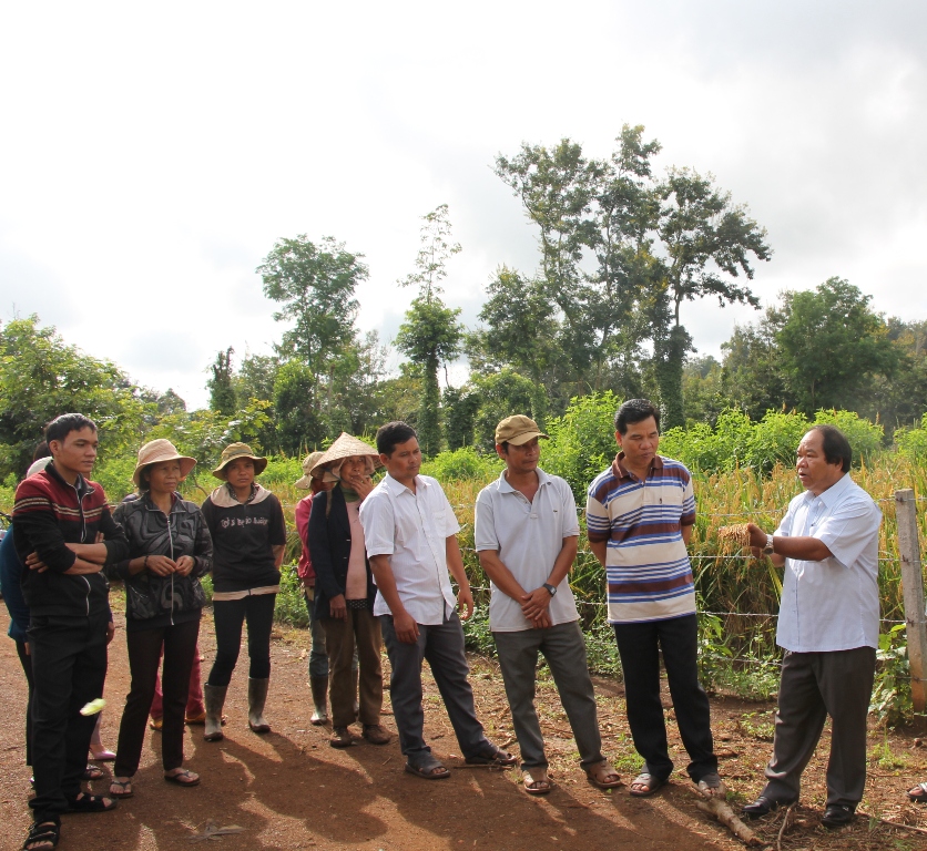 Cán bộ Liên hiệp các hội khoa học kỹ thuật giới thiệu, chuyển giao giống lúa cạn LC 408 cho người dân xã Dray Bhăng, huyện Cư Kuin
