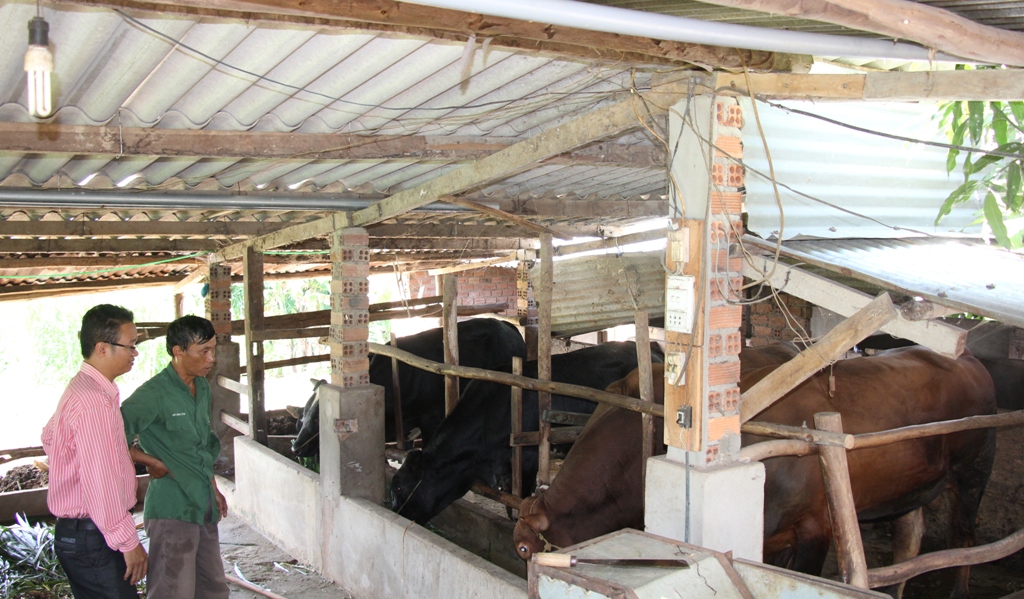 Cán bộ Phòng NN-PTNThuyện Ea Kar (bên trái) kiểm tra chuồng trại nuôi bò của người dân