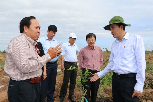 Chủ tịch UBND tỉnh Phạm Ngọc Nghị (bìa phải) kiểm tra một dự án nông - lâm nghiệp tại huyện Ea Súp. 