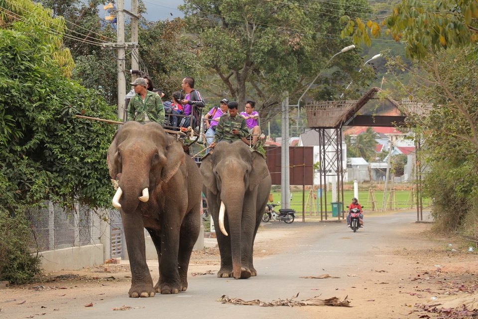 Du khách cưỡi voi tham quan huyện Lắk