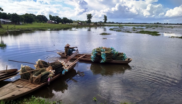 Người dân xóm chài chèo thuyền đi đánh cá trên hồ Ea Súp Hạ.
