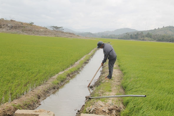Do chưa có đủ kinh phí nên nhiều kênh thủy lợi ở huyện Lắk chưa được kiên cố hóa. 