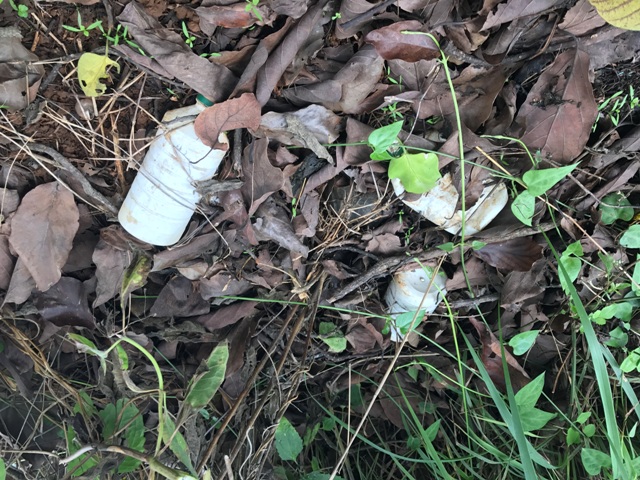 Chai lọ thuốc trừ sâu vứt bừa bãi ở quanh khu vực ruộng vườn. Ảnh chụp tại một rẫy cà phê ở huyện Ea H'leo