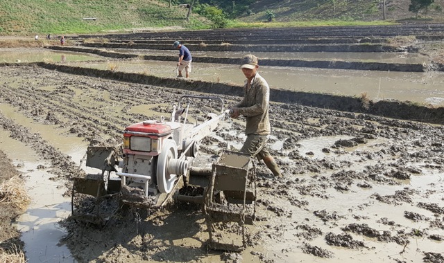 Gia đình ông Hạng A Lao sử dụng máy cày để làm đất.