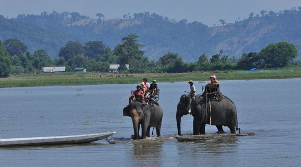 Du lịch voi Đắk Lắk - sản phẩm đặc thù của vùng Tây Nguyên.  