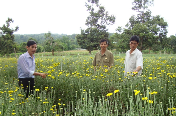 Hội viên CLB tham quan mô hình trồng hoa của hội viên Bùi Văn Sơn (buôn Ea M'Tuk, phường Ea Tam).  