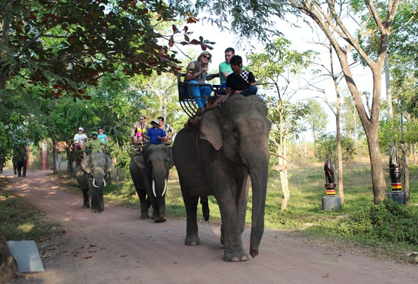Cưỡi voi du ngoạn là loại hình du lịch đặc thù của Đắk Lắk.  