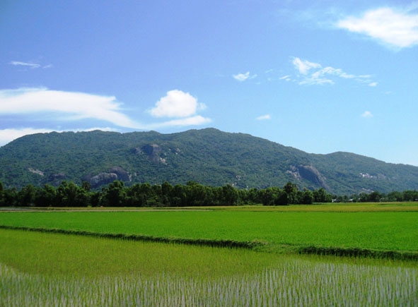 Núi Cô Tô – Phượng Hoàng Sơn. 