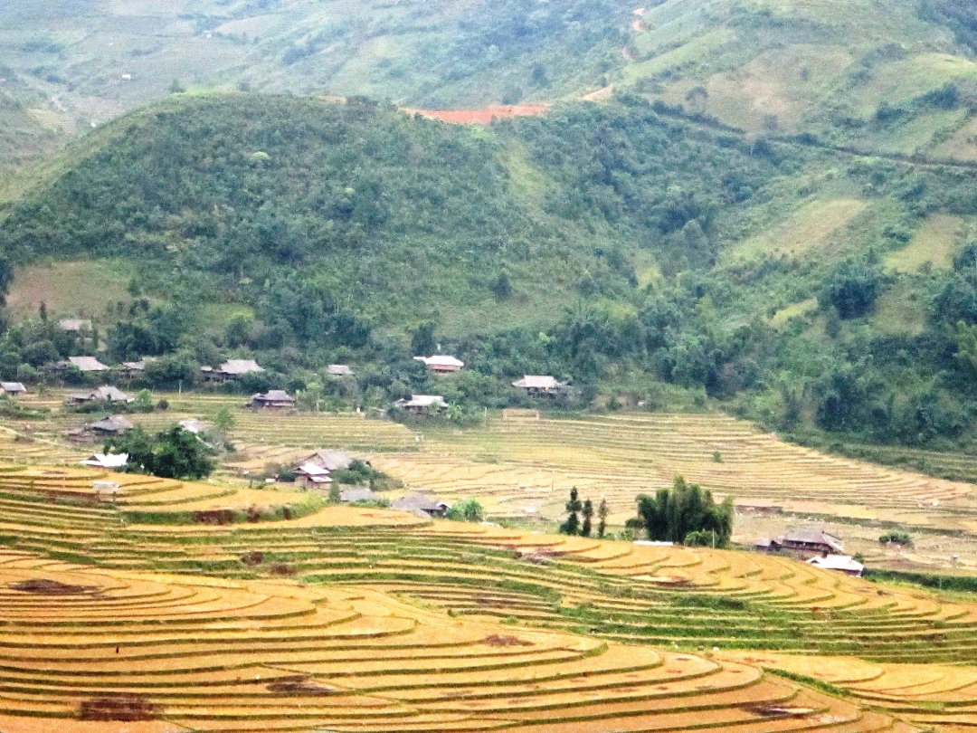 Bản làng của người Thái đen ở Mường Lò.