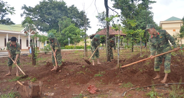 Cán bộ, chiến sĩ Cơ quan Bộ CHQS tỉnh trồng cây xanh quanh doanh trại. 
