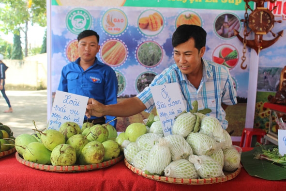 Một số sản phẩm nông nghiệp của thanh niên huyện Ea Súp. 