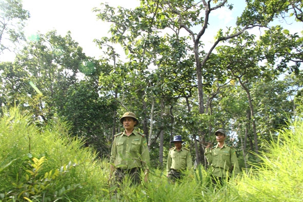 Kiểm lâm VQG Yok Đôn tuần tra bảo vệ rừng. 