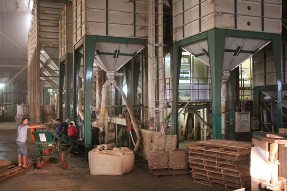 Nhà máy chế biến cà phê Intimex Buôn Ma Thuột  tại Cụm  công nghiệp Tân An 1. 