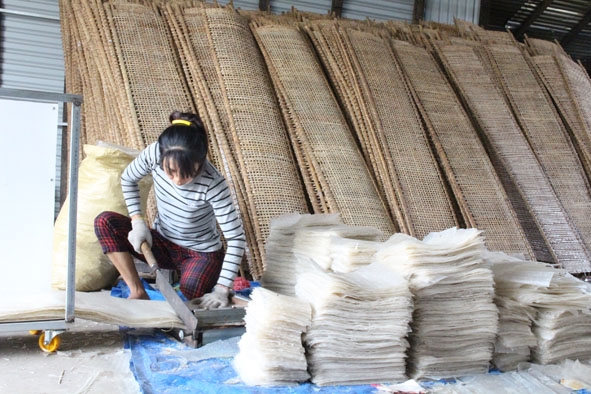 Chị Nguyễn Thị Thanh Thủy đang thực hiện công đoạn cắt bánh tráng sau khi đã phơi khô.