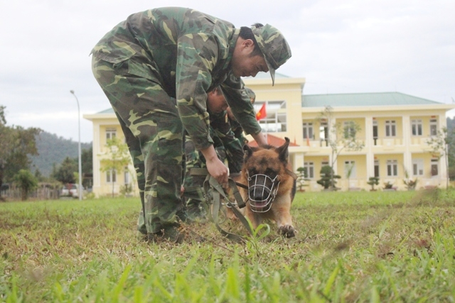 Các “chiến binh” thực hành các động tác huấn luyện cơ bản theo mệnh lệnh của HLV.