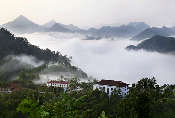 Nhìn từ xa, rừng Xuân Sơn được bao bọc bởi biển mây.