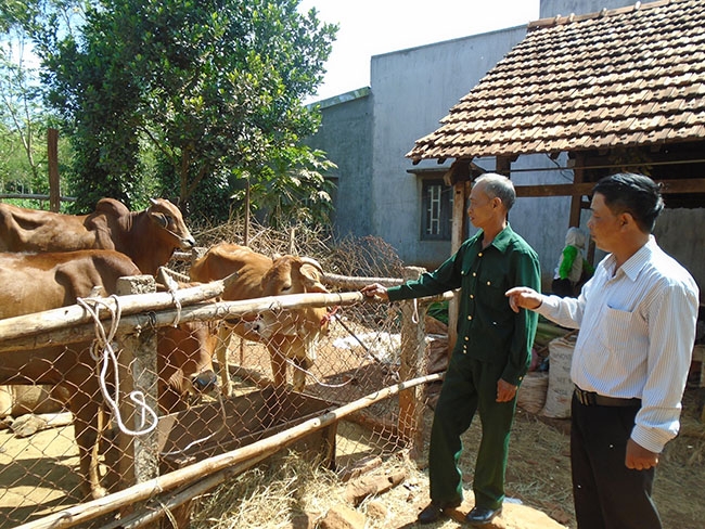 Ông Hoàng Văn Khải (bên trái) trao đổi kinh nghiệm chăn nuôi với cán bộ địa phương.  