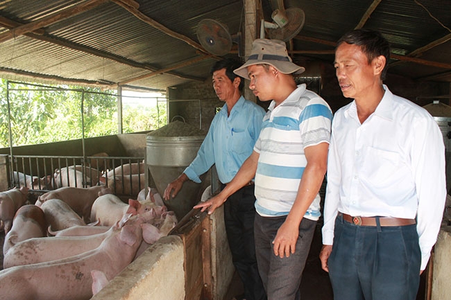 Cán bộ  Hội Nông dân xã Ea Kmút tìm hiểu  cách thức  xây dựng,  phát triển trang trại  chăn nuôi của gia đình anh Vũ Văn Quyết. 