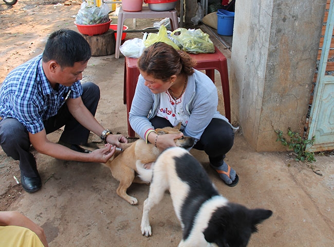 Cán bộ thú y TP. Buôn Ma Thuột thực hiện tiêm phòng vắc xin dại cho chó trên địa bàn xã Cư Êbur (TP. Buôn Ma Thuột).  