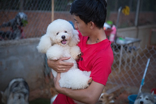 Tình yêu  thú cưng  đã giúp anh Doãn Nguyễn Duy Tân  thành công với nghề  nuôi chó cảnh. 