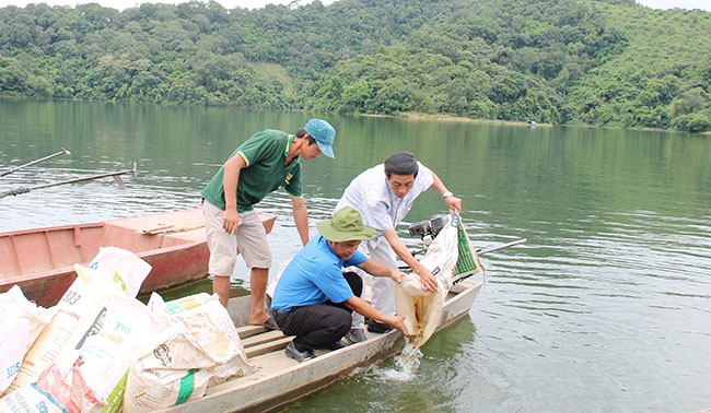 Chi cục Thủy sản thả cá bổ sung nguồn lợi thủy sản ở hồ Buôn Triết (huyện Lắk). 