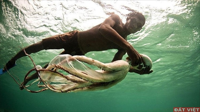 Tộc người Bajau có khả năng lặn săn bắt hải sản.