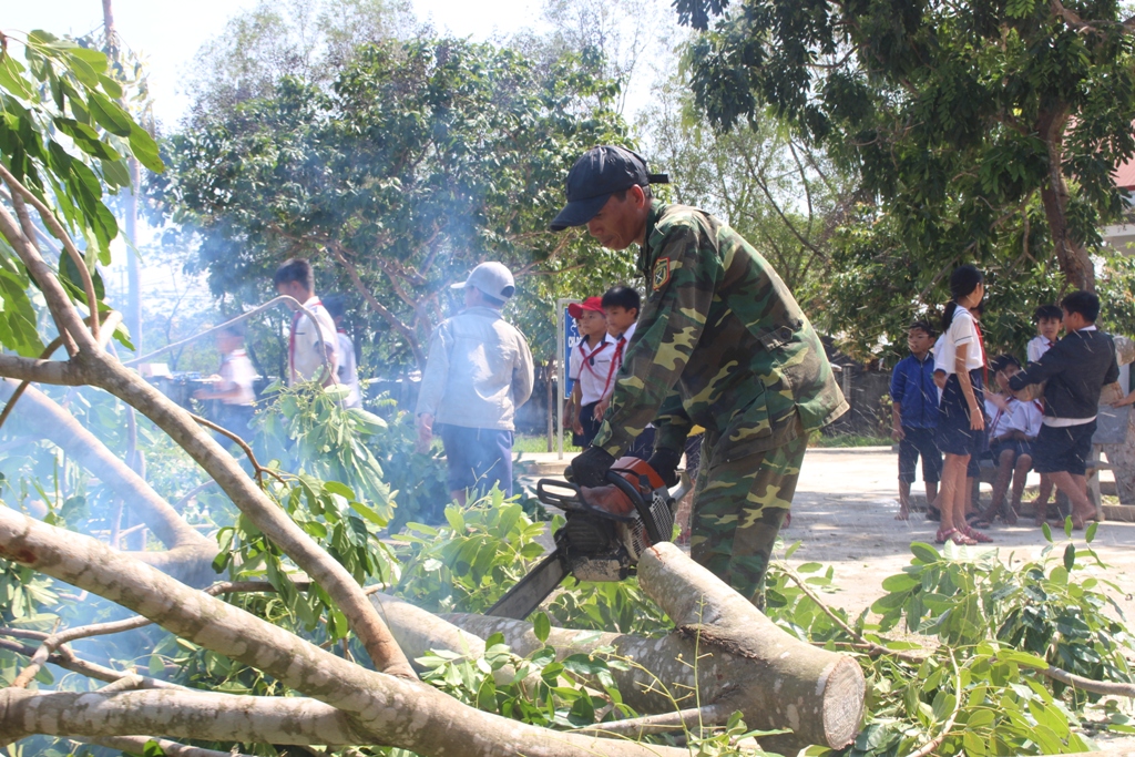 Nhiều cây xanh ở Trường Tiểu học Cư M'lan (xã Cư M'lan) bị ngã đổ